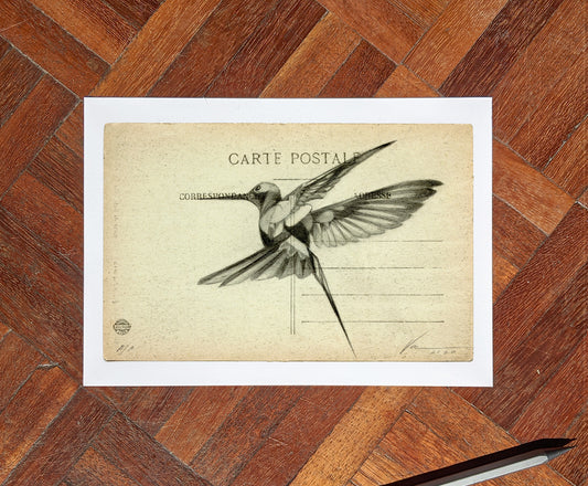 'Flight Vintage Postcard 08' Mini Edition