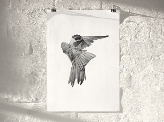 Bird 01 ( Giclee Print ) screen prints and original art by London artist Von — www.shopvon.com