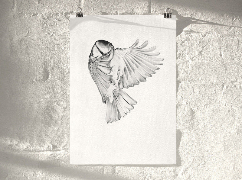 Bird 04 ( Giclee Print ) screen prints and original art by London artist Von — www.shopvon.com