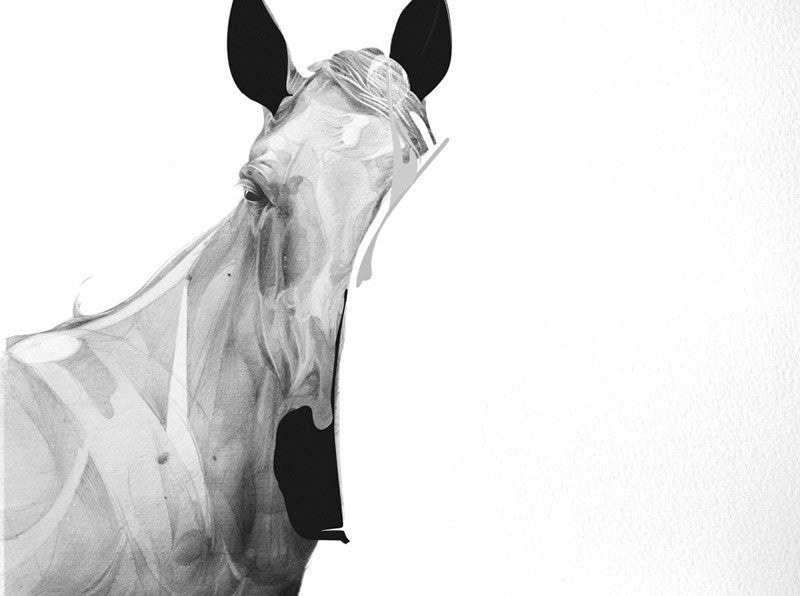 Horse 01 ( ) screen prints and original art by London artist Von — www.shopvon.com