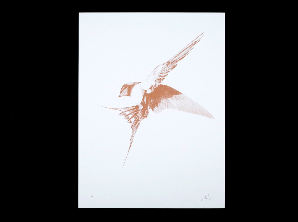 Flight 06 — Copper Artist Proof ( Screen Print ) screen prints and original art by London artist Von — www.shopvon.com