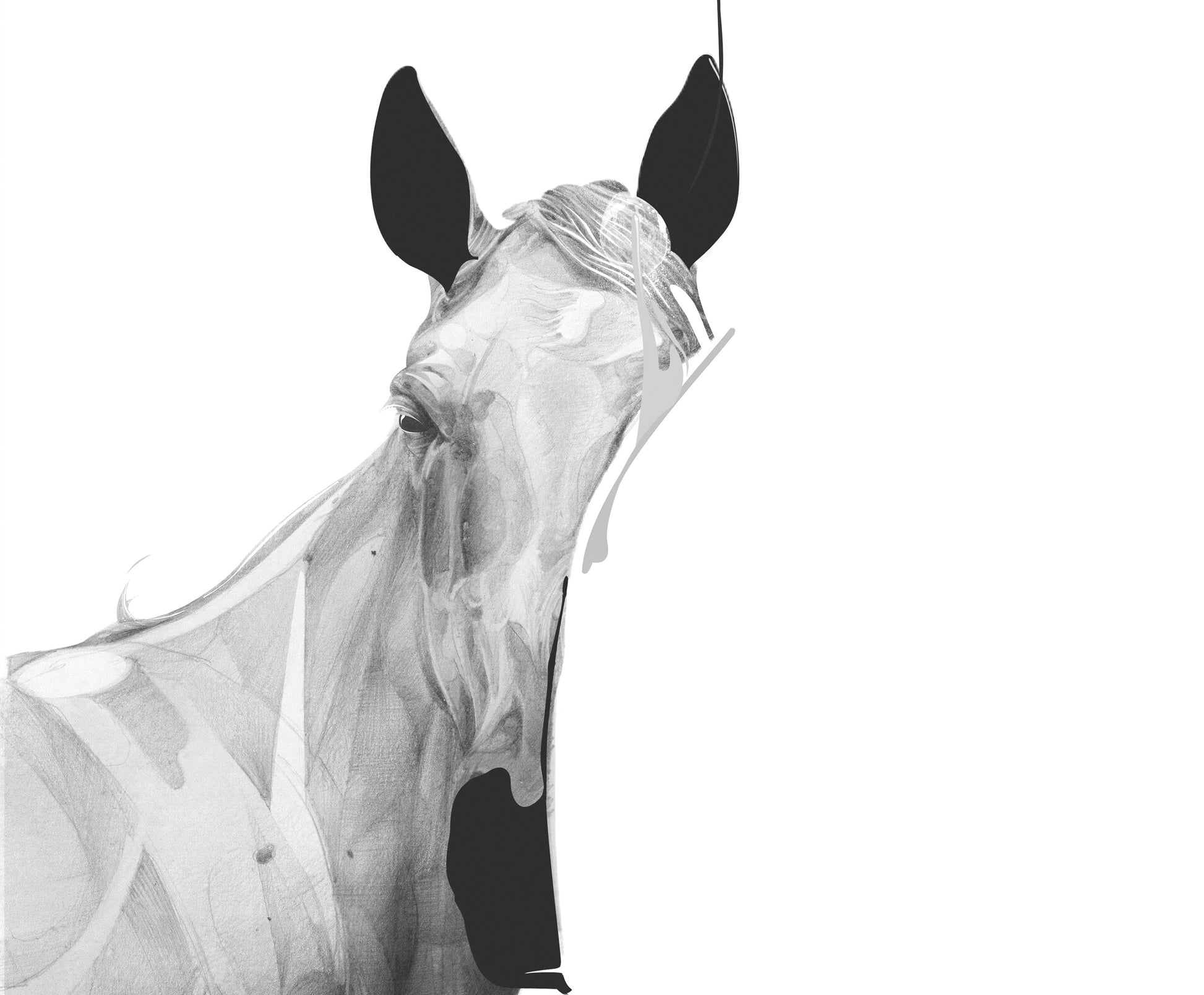 Horse 01 [Mini Edition]
