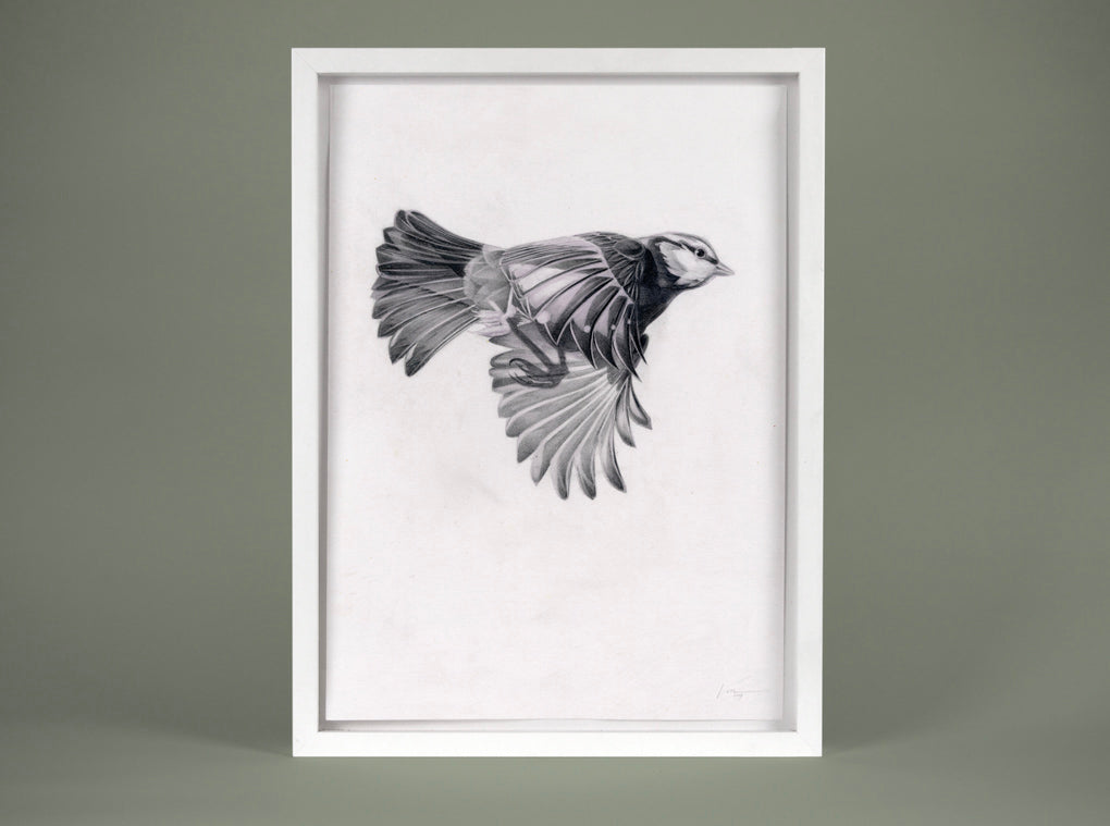 Flight 11 — small original ( Original Art ) screen prints and original art by London artist Von — www.shopvon.com