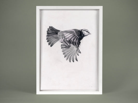Flight 11 — small original ( Original Art ) screen prints and original art by London artist Von — www.shopvon.com