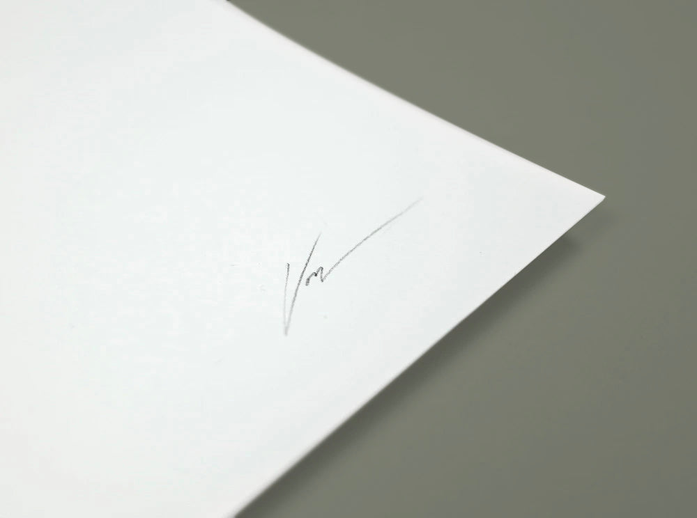 Flight 10 — small original ( Original Art ) screen prints and original art by London artist Von — www.shopvon.com