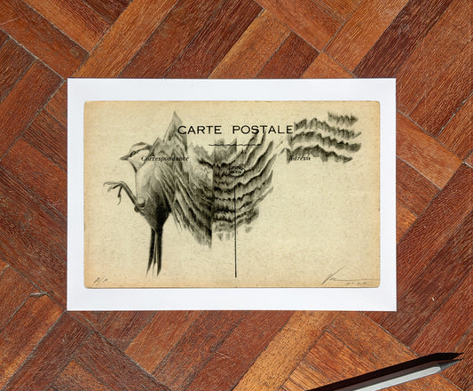 'Flight Vintage Postcard 06' Mini Edition