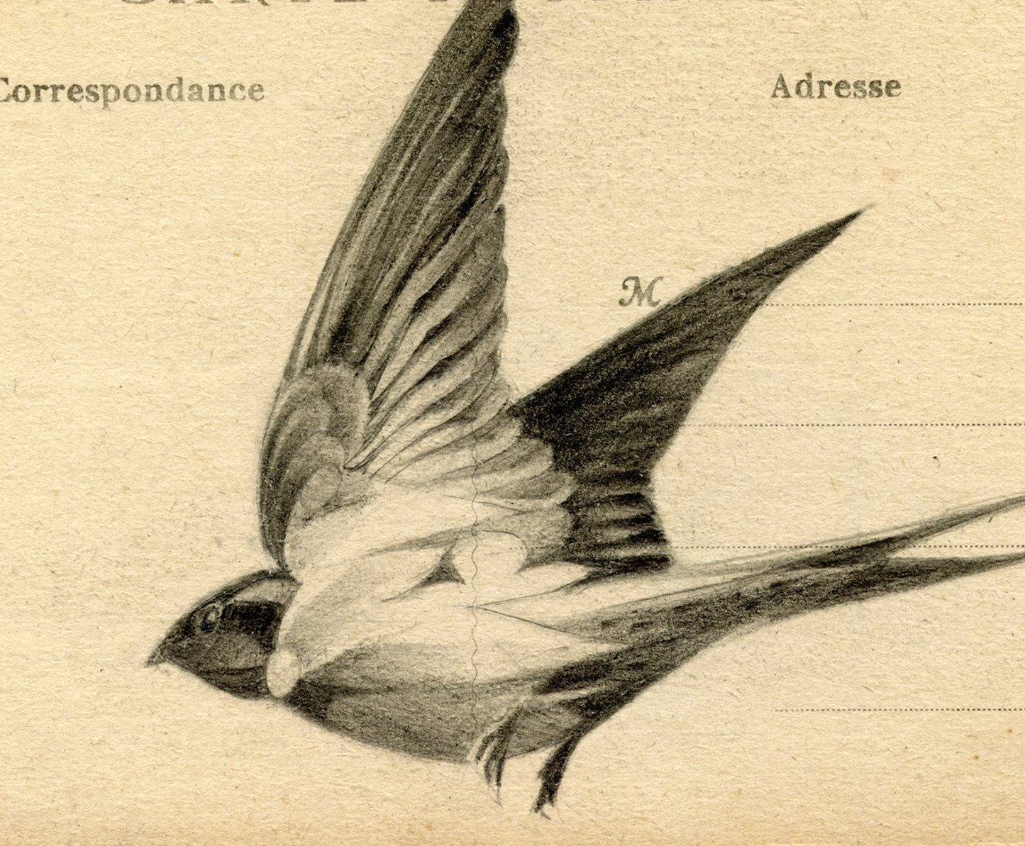 'Flight Vintage Postcard 07' Mini Edition