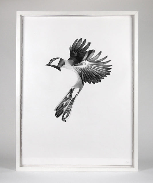 Flight 07  [2016] ( Original Art ) screen prints and original art by London artist Von — www.shopvon.com