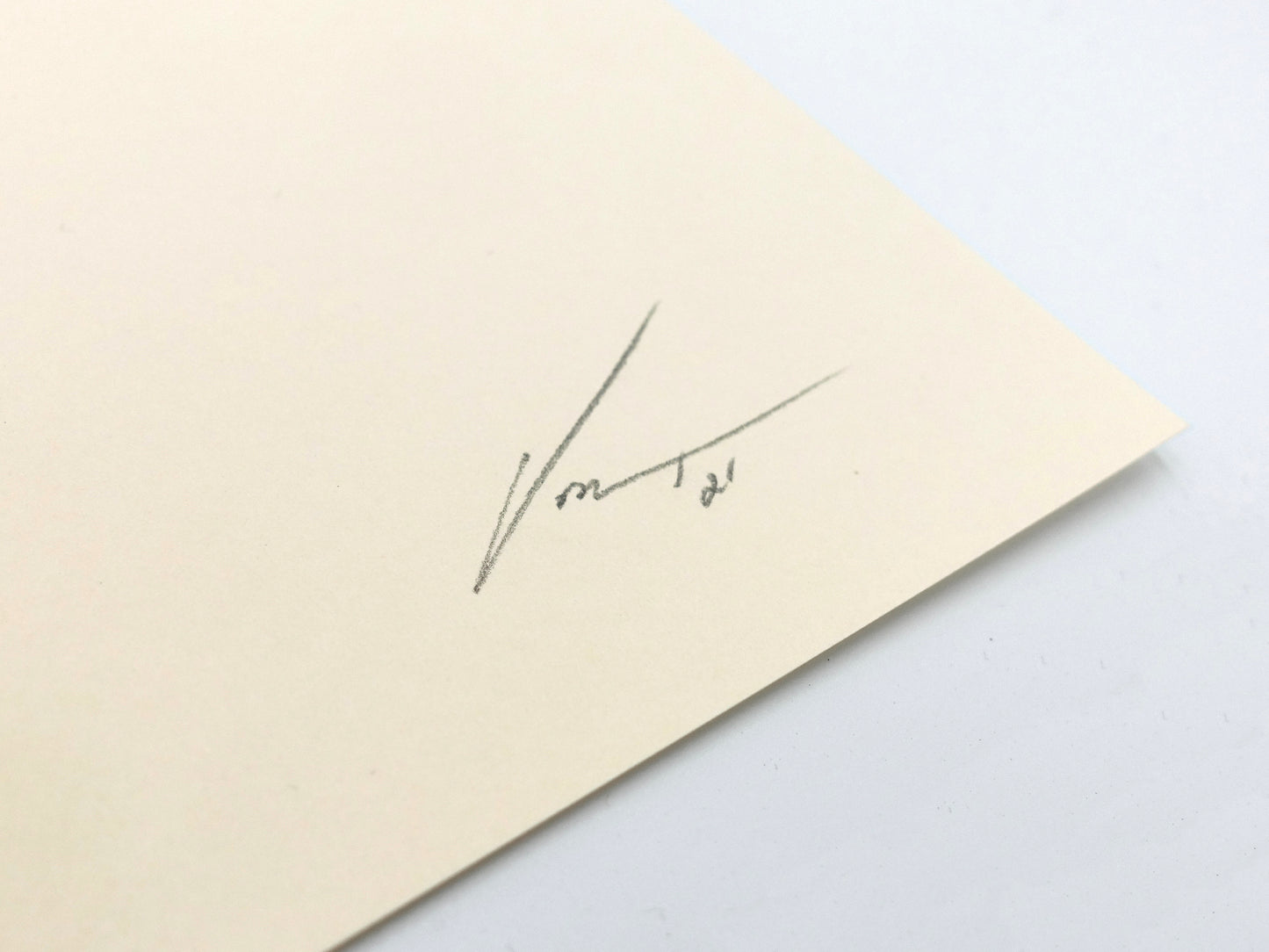 Gestures 'Hope' screen print