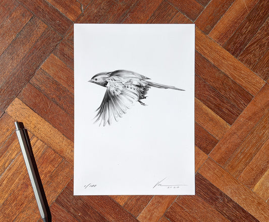 Bird 10 [Mini Edition] (  ) screen prints and original art by London artist Von — www.shopvon.com