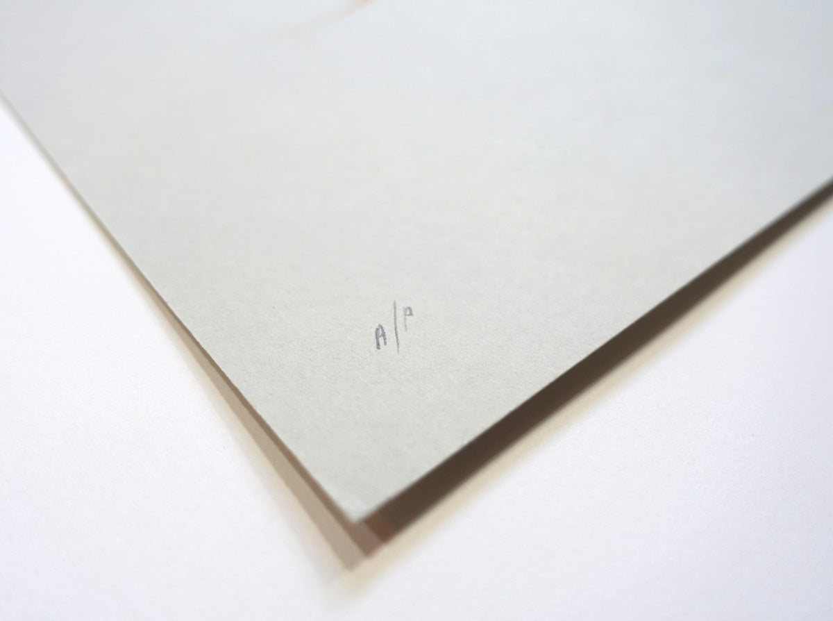 'Bird 17' Copper Screen Print (Pale Grey) | Artist Proof ( Screen Print ) screen prints and original art by London artist Von — www.shopvon.com