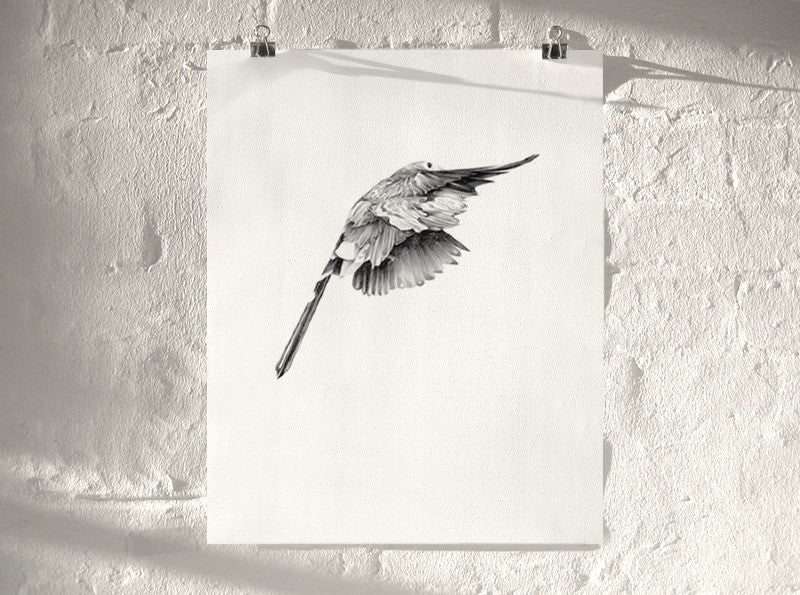 Bird 14 ( Giclee Print ) screen prints and original art by London artist Von — www.shopvon.com