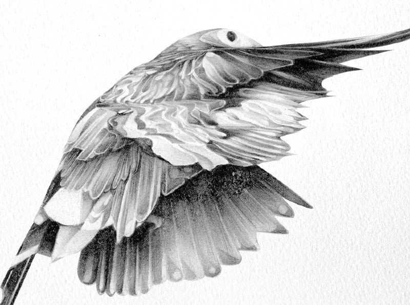 Bird 14 ( Giclee Print ) screen prints and original art by London artist Von — www.shopvon.com