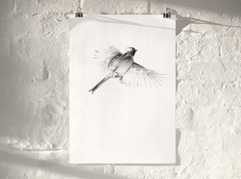 Bird 08 ( Giclee Print ) screen prints and original art by London artist Von — www.shopvon.com