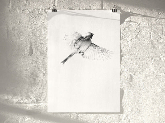 Bird 08 ( Giclee Print ) screen prints and original art by London artist Von — www.shopvon.com