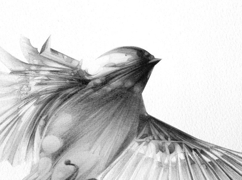 Bird 08 ( Giclee Print ) screen prints and original art by London artist Von — www.shopvon.com