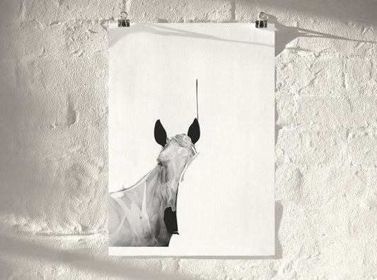 Horse 01 (  ) screen prints and original art by London artist Von — www.shopvon.com