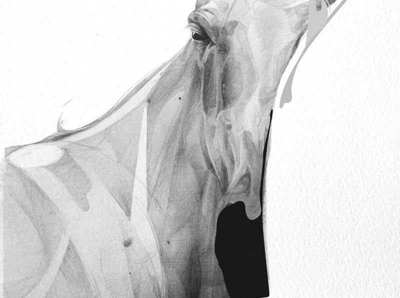 Horse 01 (  ) screen prints and original art by London artist Von — www.shopvon.com