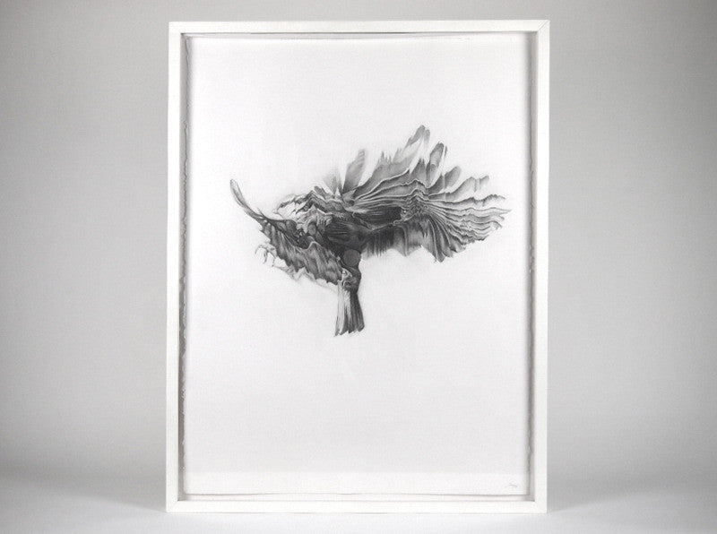 Bird 05  [2009] ( Original Art ) screen prints and original art by London artist Von — www.shopvon.com
