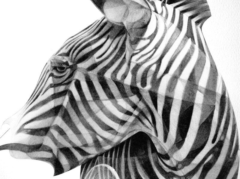 Zebra 02 (  ) screen prints and original art by London artist Von — www.shopvon.com
