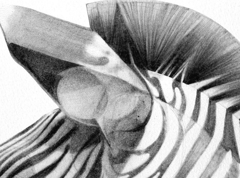 Zebra 02 (  ) screen prints and original art by London artist Von — www.shopvon.com
