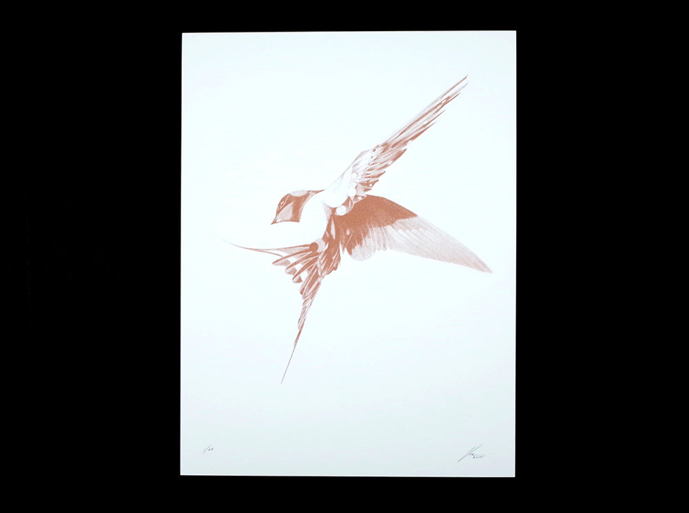 Flight 07 — Copper Artist Proof