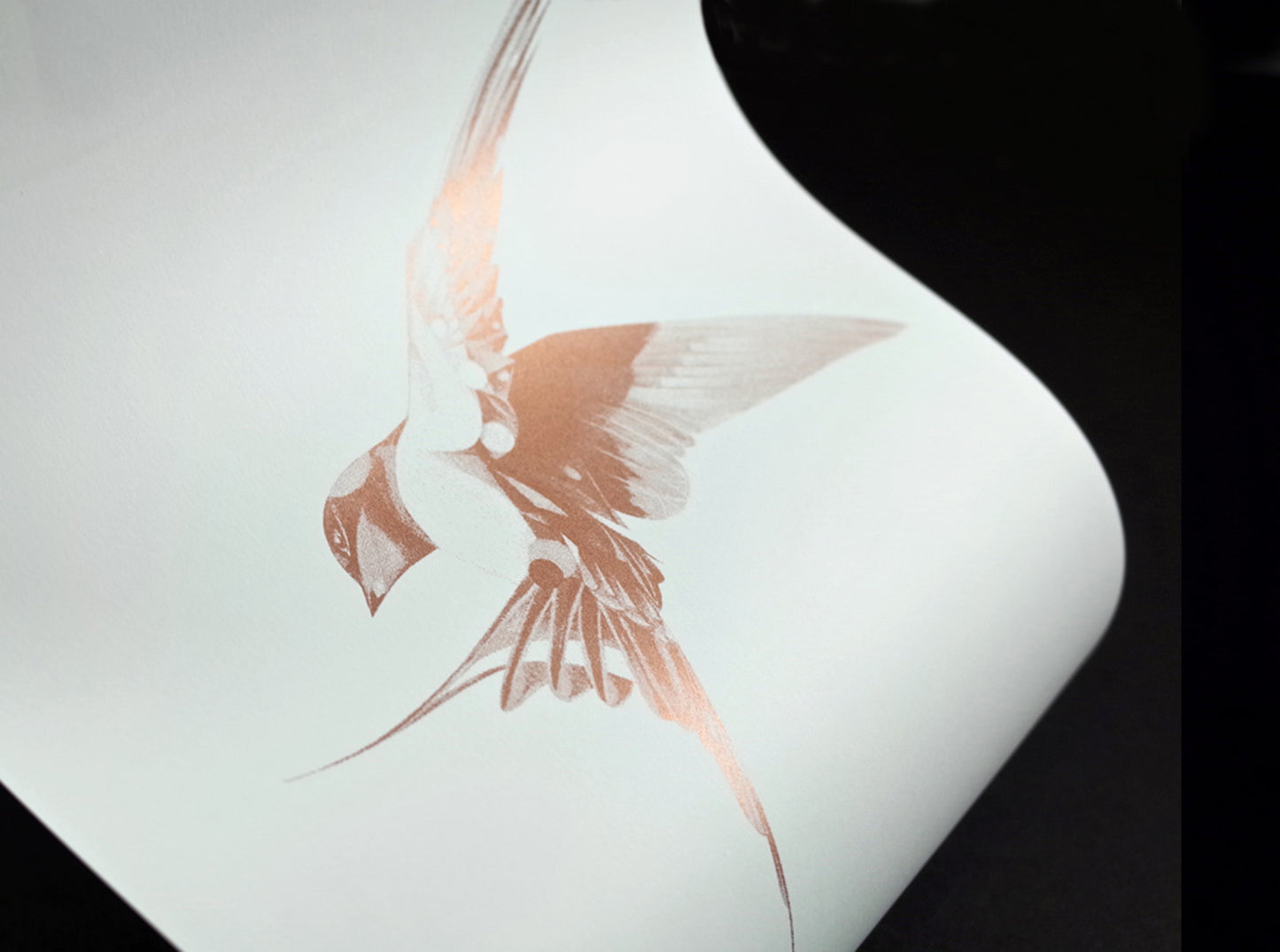 Flight 07 — Copper Artist Proof