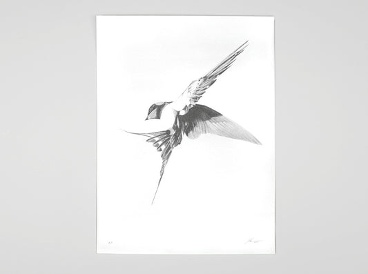 Flight 06 — Silver Edition | Artist Proof (  ) screen prints and original art by London artist Von — www.shopvon.com