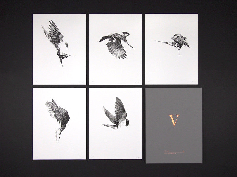 Flight Collector's Edition Box Set (  ) screen prints and original art by London artist Von — www.shopvon.com