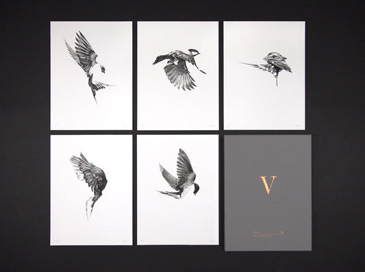 Flight Collector's Edition Box Set (  ) screen prints and original art by London artist Von — www.shopvon.com