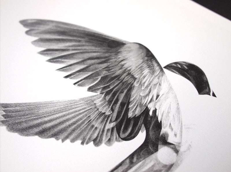 Flight Collector's Edition Box Set (  ) screen prints and original art by London artist Von — www.shopvon.com