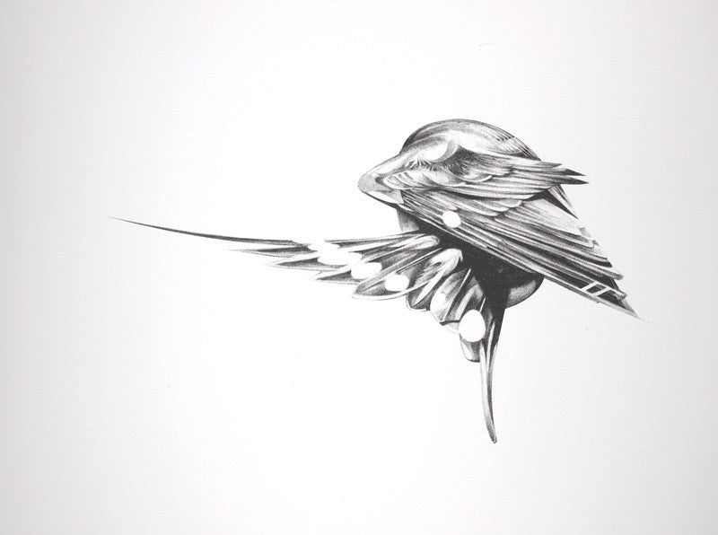 Flight Collector's Edition Box Set (  ) screen prints and original art by London artist Von — www.shopvon.com