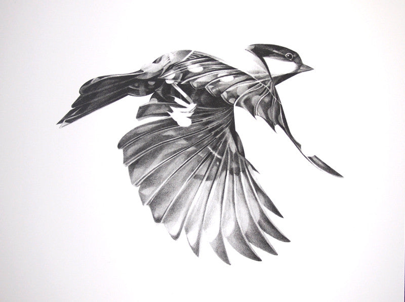 Flight Collector's Edition Box Set (  ) screen prints and original art by London artist Von — www.shopvon.com