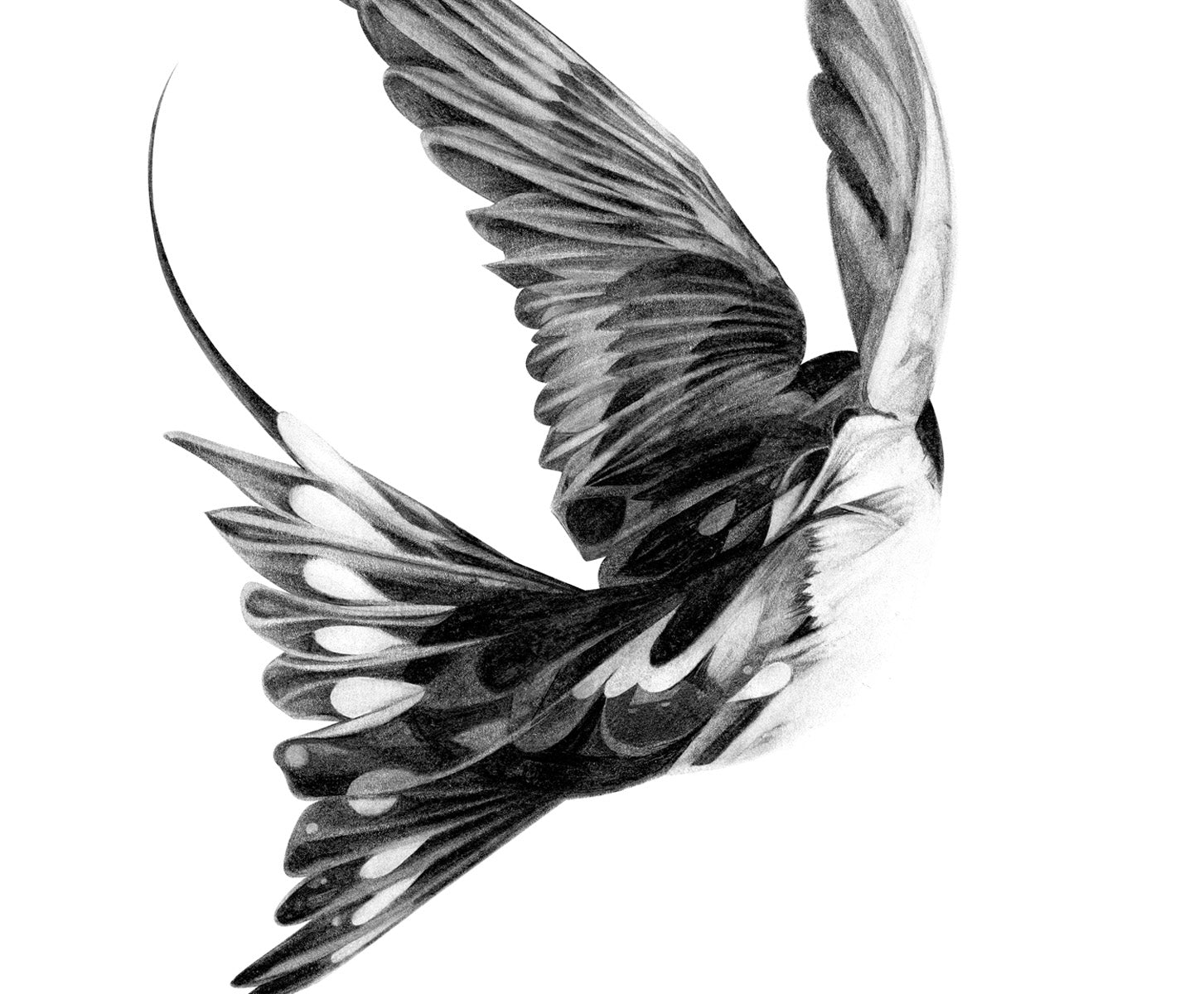 Bird 17 [Mini Edition] (  ) screen prints and original art by London artist Von — www.shopvon.com